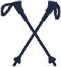 Tecnica
